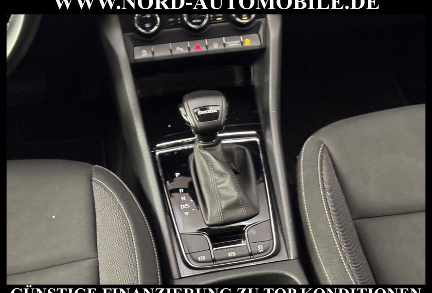 Skoda Karoq Karoq Business 2.0 TDI DSG Virt.Cockpit/Kamera/