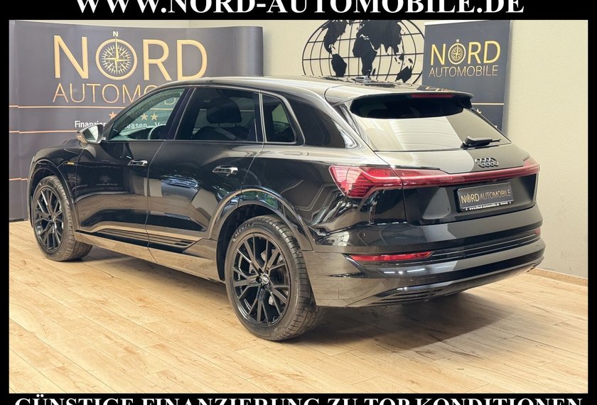 Audi e-tron e-tron 50 QU.Advanced S-Line Matrix/Kamera/21/