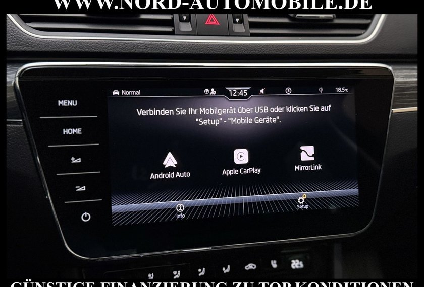 Skoda Superb Superb Combi 2.0 TDI Style 4x4 DSG AHK/Leder/Kam