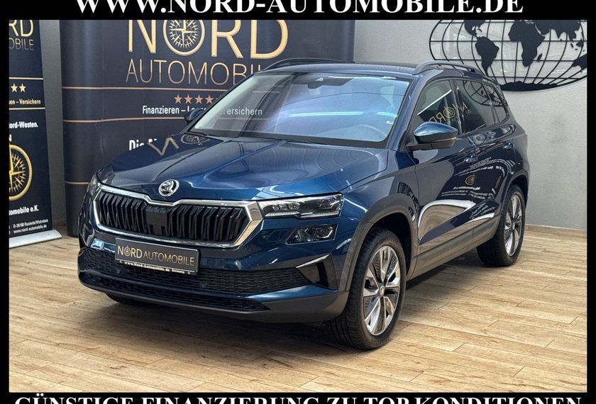 Skoda Karoq Karoq Style 2.0 TDI DSG Matrix/Kamera/18/