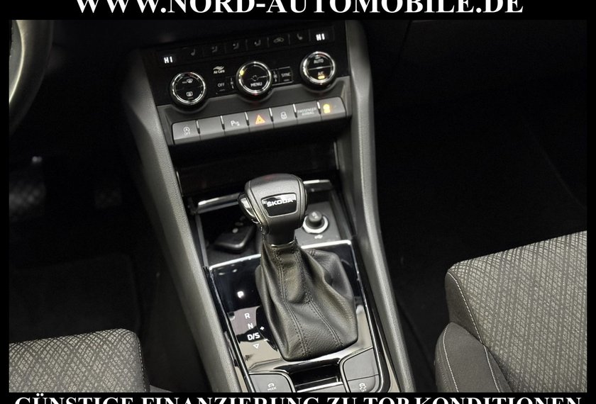 Skoda Karoq Karoq Style 2.0 TDI DSG Virt.Cockpit/AHK/Navi/18