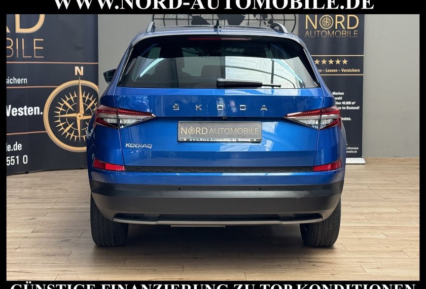 Skoda Kodiaq Kodiaq Ambition 2.0 TDI DSG 7-Sitzer/Pano/Virt.C
