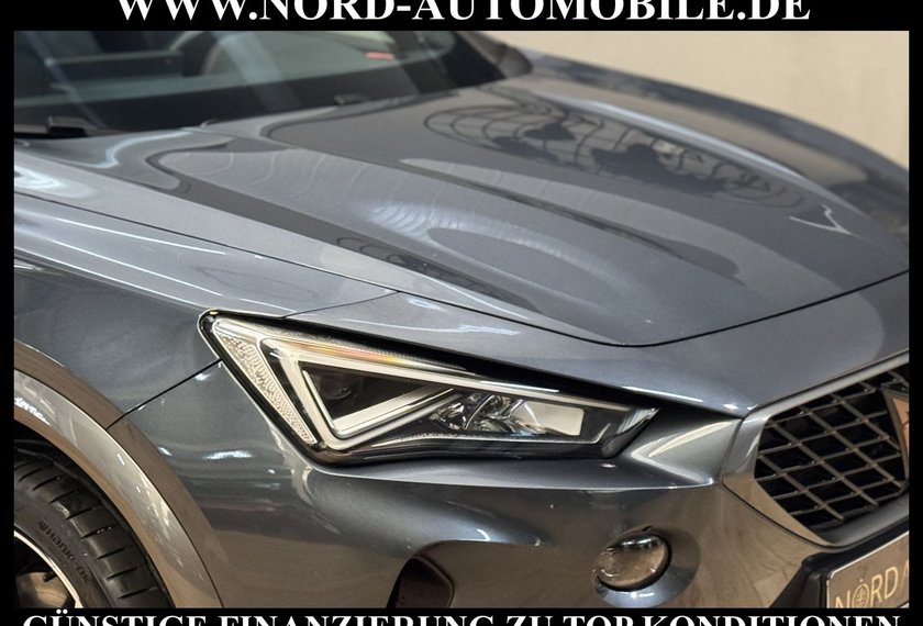Cupra Formentor Formentor 2.0 TDI DSG AHK/Beats/19/StHz/Navi/