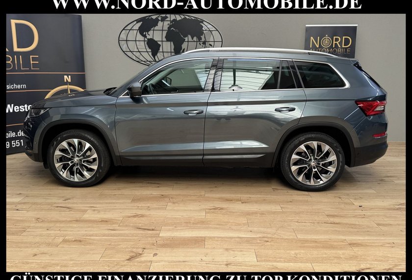 Skoda Kodiaq Kodiaq 2.0 TSI DSG Area View/Navi/LED/19/