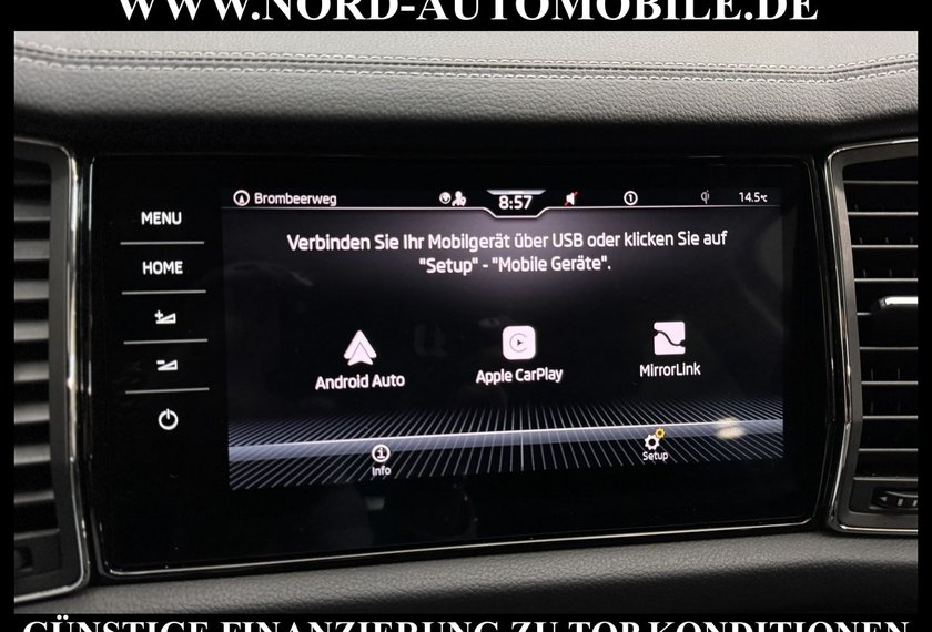 Skoda Kodiaq Kodiaq Style 2.0 TDI DSG Virt.Cockpit/Kamera/18