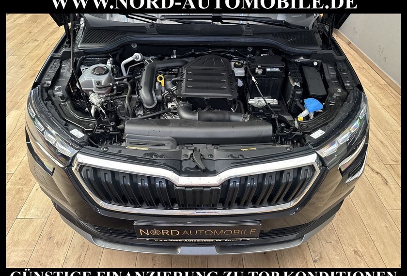 Skoda Kamiq Kamiq Ambition Tour 1.0 TGI G-TEC Kamera/LED/17
