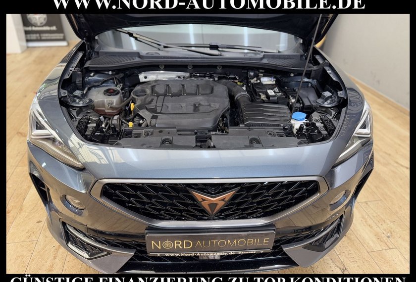 Cupra Formentor Formentor 2.0 TSI DSG Kamera/Beats/19/Navi