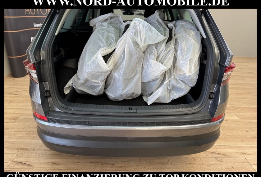 Skoda Kodiaq Kodiaq 2.0 TDI DSG Tour Virt.Cockpit/AHK/Kamera/
