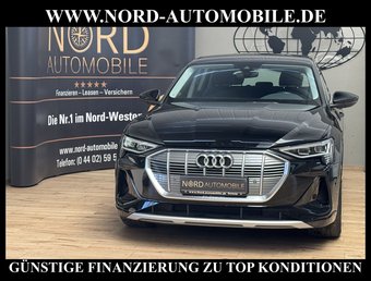Audi e-tron e-tron 55 S-Line QU. Leder/Matrix/Kamera/20
