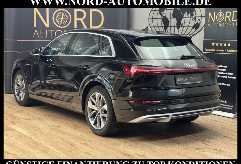 Audi e-tron e-tron 55 S-Line QU.Leder/Matrix/B&amp;O/Kamera/20