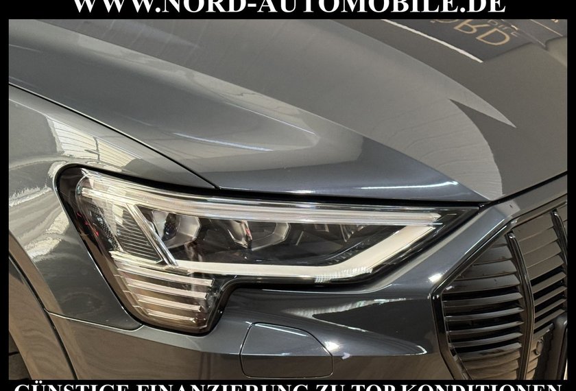Audi e-tron e-tron 50 QU.S-Line Teilleder/Kamera/Navi/21