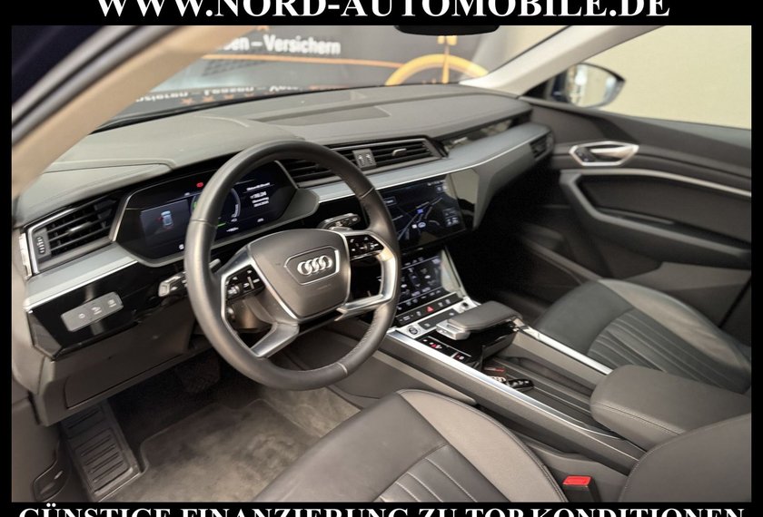 Audi e-tron e-tron 50 Advanced QU.Leder/Kamera/20/Navi/