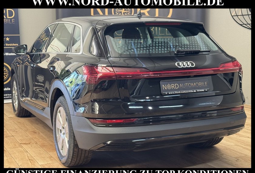Audi e-tron e-tron 50 QU.AHK/Kamera/Virt.Cockpit/