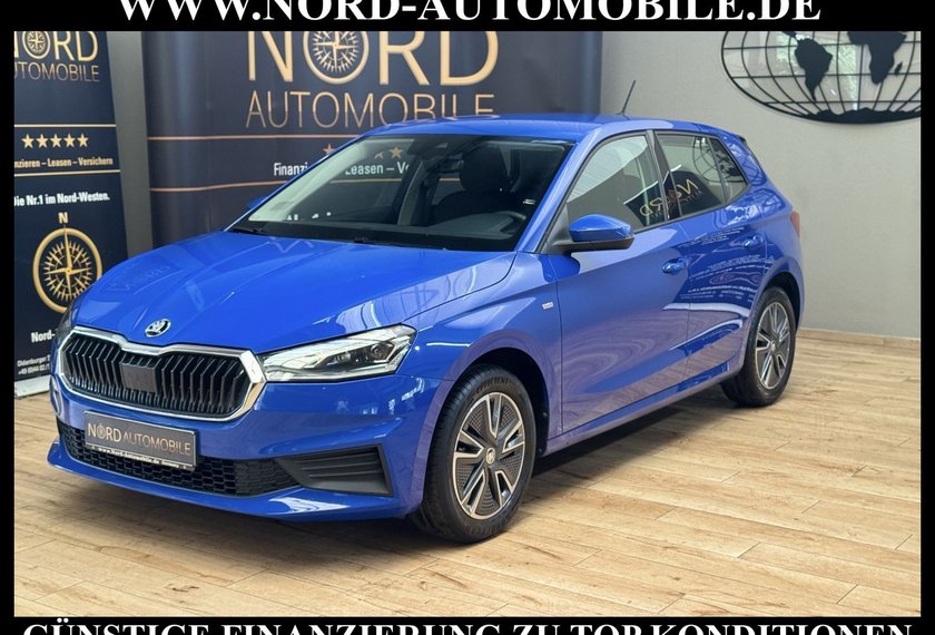 Skoda Fabia Fabia Ambition Tour 1.0 MPI Klima/LED/PDC/16Zoll