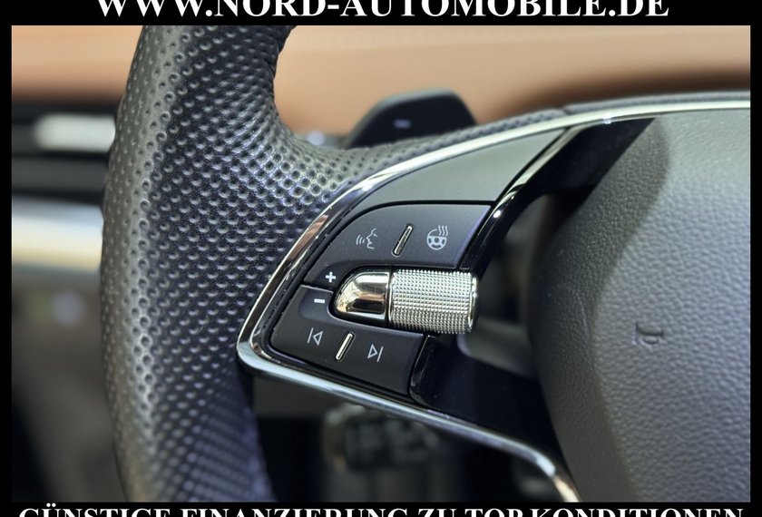 Skoda Enyaq Enyaq iV 60 Eco-Suite Leder/Wärmepumpe/19