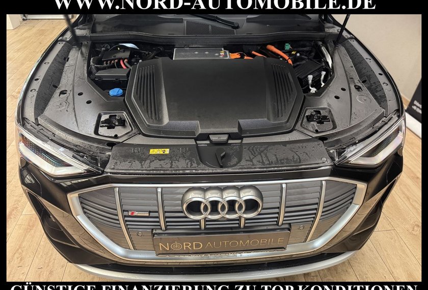 Audi e-tron e-tron 55 S-Line QU.Leder/Matrix/B&amp;O/Kamera/20