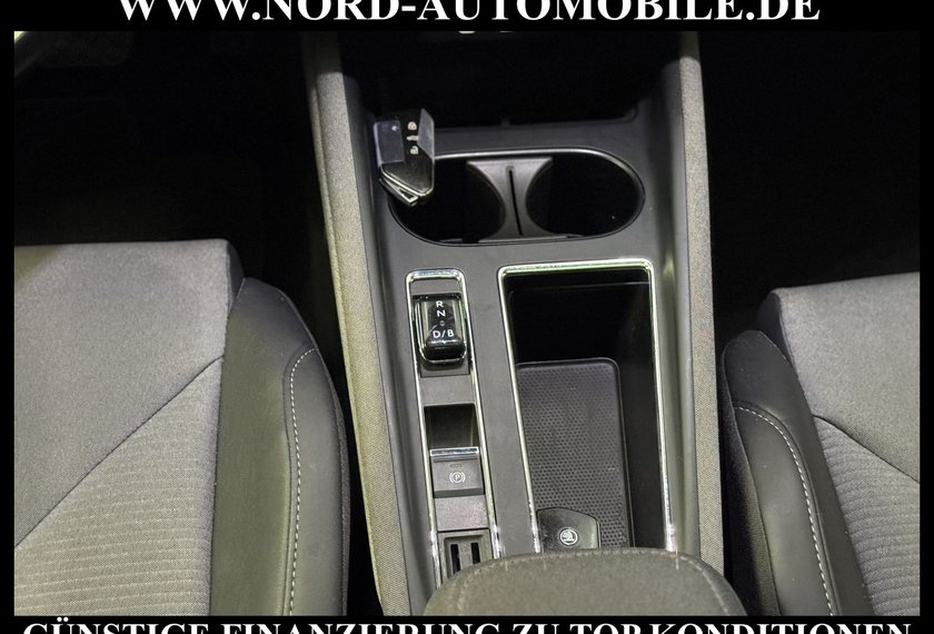 Skoda Enyaq Enyaq iV 60 Loft Pano/Kamera/Side&amp;Lane/ACC/21