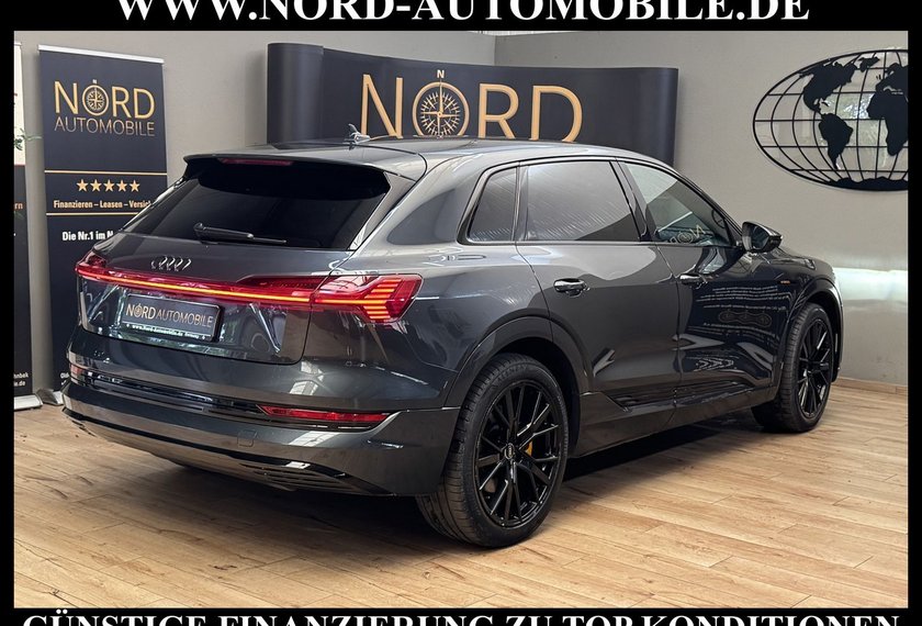 Audi e-tron e-tron 50 QU.S-Line Teilleder/Kamera/Navi/21