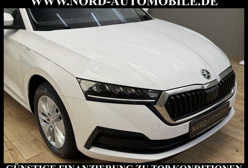 Skoda Octavia Octavia Combi Ambition 2.0 TDI DSG Kamera/ACC/