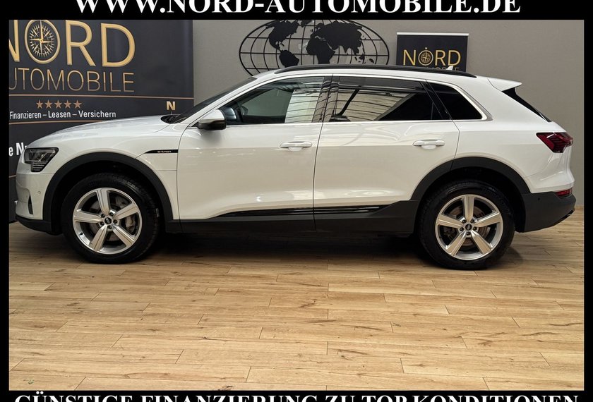 Audi e-tron e-tron 55 QU.Teilleder/Navi/LED/Side&amp;Lane/20