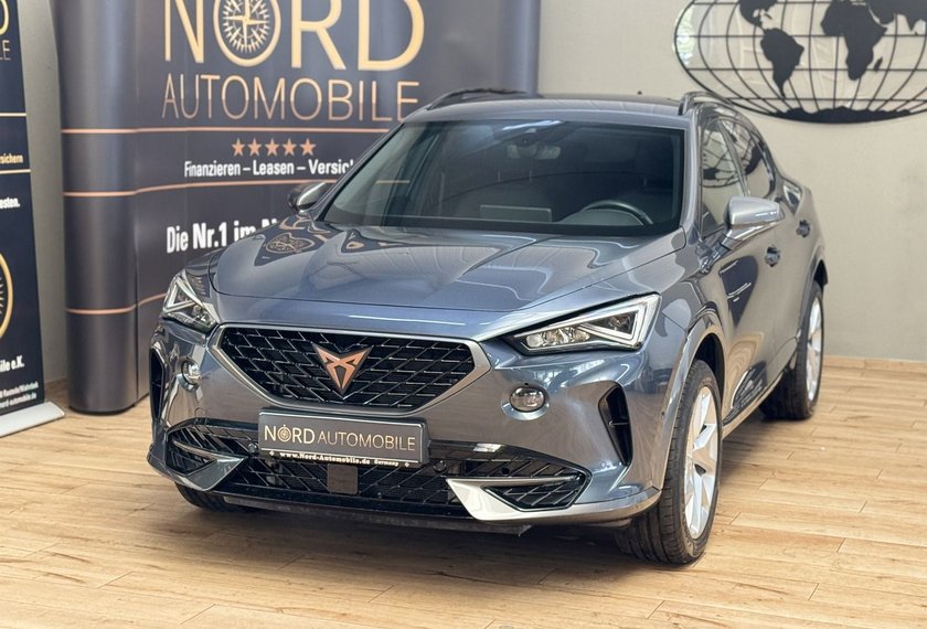 Cupra Formentor Formentor 2.0 TDI 4Drive Kamera/ACC/Side&amp;Lane/