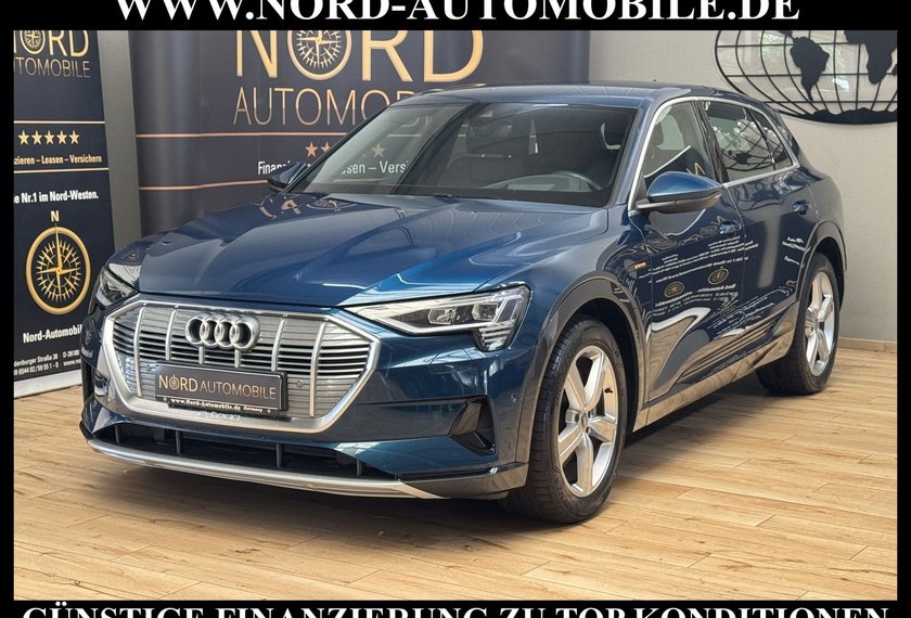 Audi e-tron e-tron 50 QU.S-Line Teilleder/Kamera/Head-Up/20