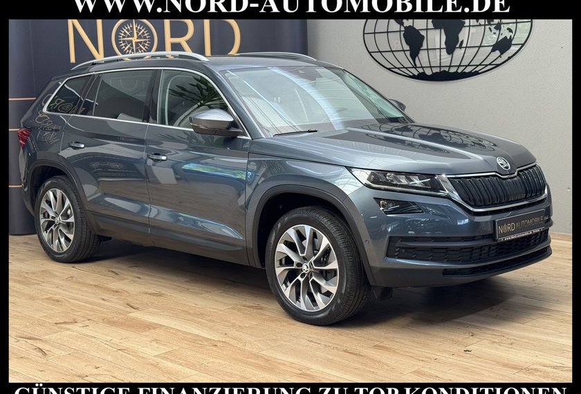 Skoda Kodiaq Kodiaq 2.0 TSI DSG Area View/Navi/LED/19/