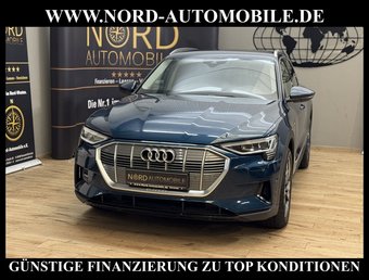 Audi e-tron e-tron qu. Automatik Teilleder/Kamera/20