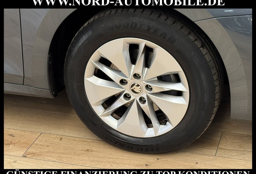 Skoda Octavia Octavia Combi Ambition 2.0 TDI DSG Kamera/AHK/