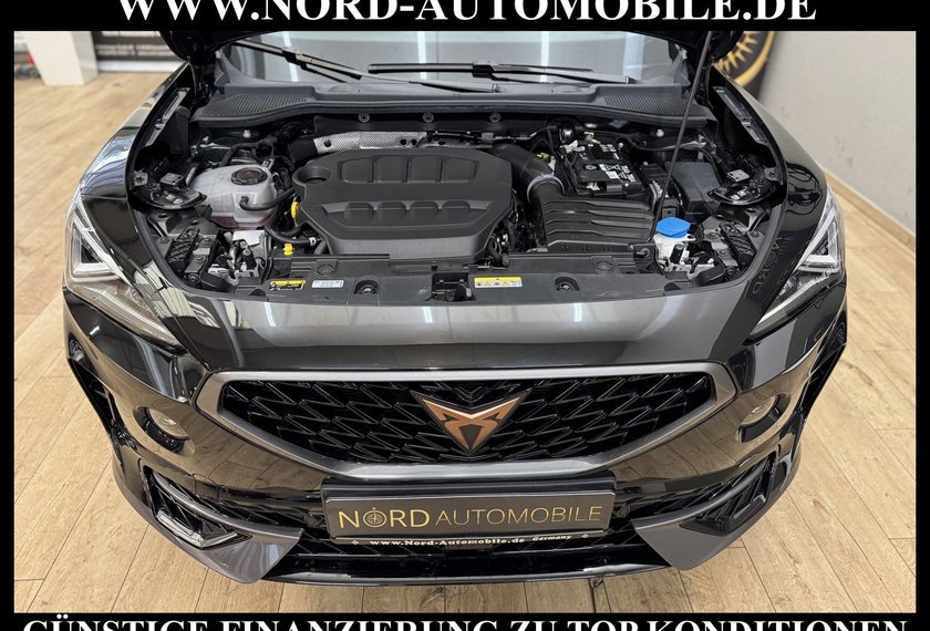 Cupra Formentor Formentor VZ 2.0 TSI DSG Kamera/AHK/19/Navi/LED