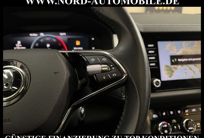 Skoda Kodiaq Kodiaq 2.0 TDI Ambition 4x4 DSG StHz/Pano/LED/