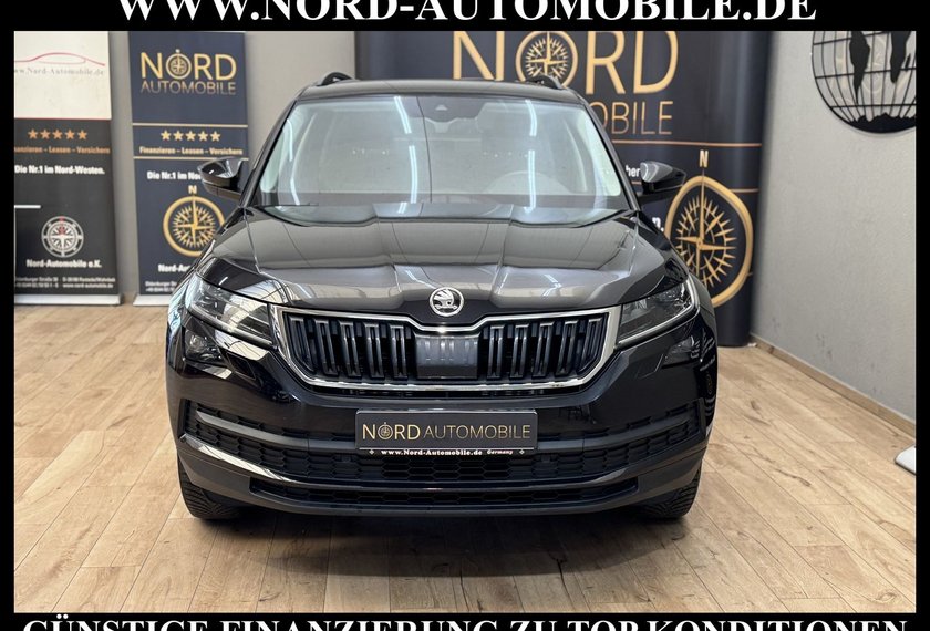 Skoda Kodiaq Kodiaq 2.0 TSI DSG Ambition 4x4 *LEDER*AHK*STHZ*
