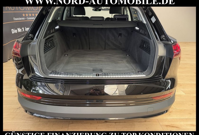 Audi e-tron e-tron 50 QU. Teilleder/Kamera/Navi/LED/20
