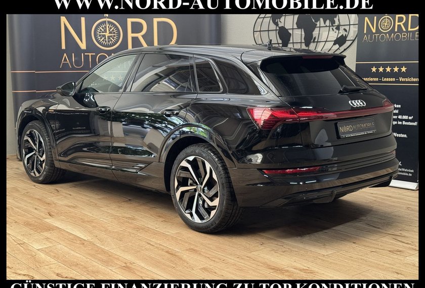 Audi e-tron e-tron 50 QU.S-Line Matrix/Kamera/21/