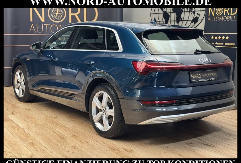 Audi e-tron e-tron 50 QU.S-Line Teilleder/Kamera/Head-Up/20