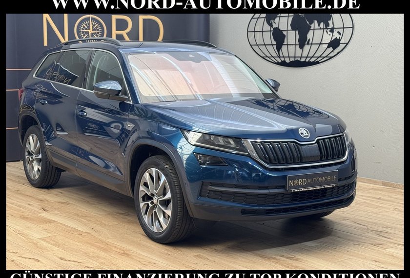 Skoda Kodiaq Kodiaq 2.0 TSI 4x4 DSG Ambition AHK/Virt.Cockpit
