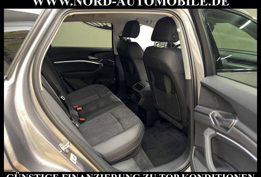 Audi e-tron e-tron 55 QU.Advanced Optik schwarz/Kamera/20/