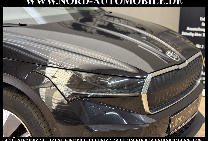 Skoda Enyaq Enyaq iV 80 Loft Automatik Kamera/Matrix/Navi/19