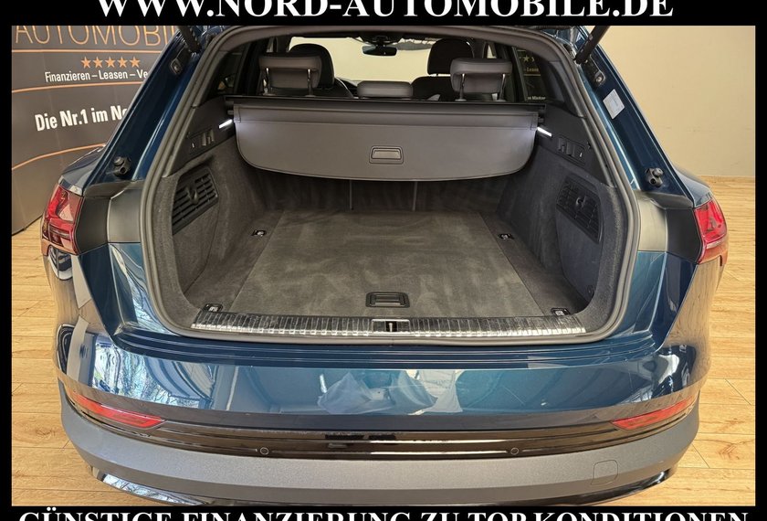 Audi e-tron e-tron 55 QU.S-Line Pano/AHK/HeadUp/21/B&amp;O/Kamer