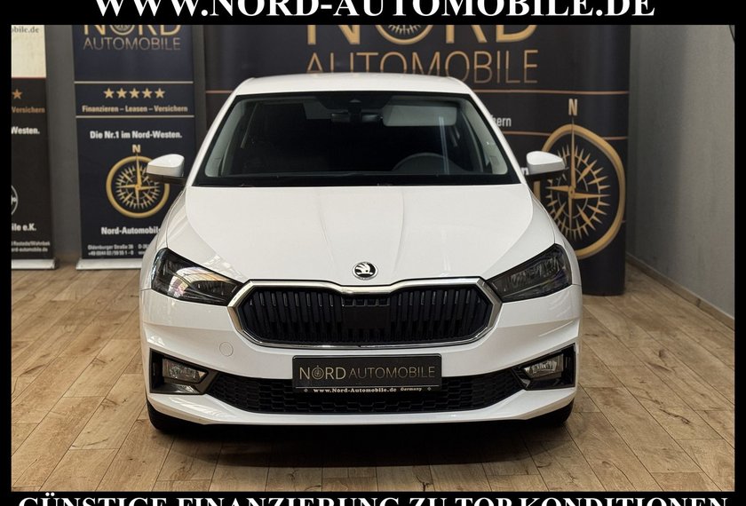 Skoda Fabia Fabia Active 1.0 MPI LED/Klima/SHZ/