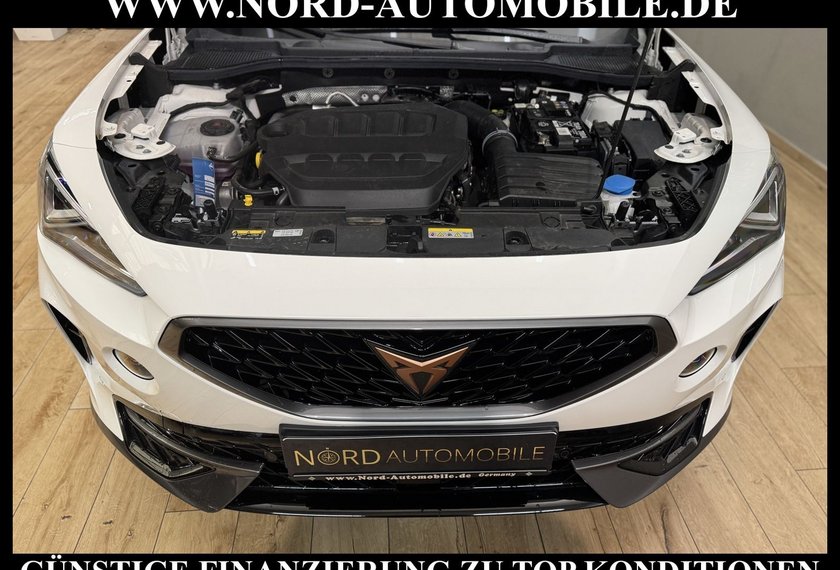 Cupra Formentor Formentor VZ 2.0 TSI Navi/LED/Kamera/SHZ/19