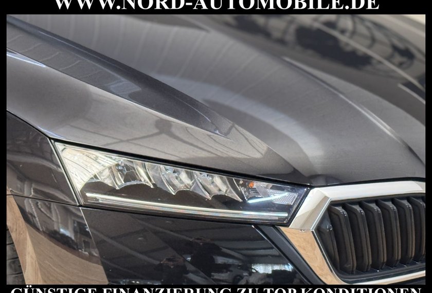 Skoda Octavia Octavia Combi Style 2.0 TDI DSG AHK/Kamera/Navi/