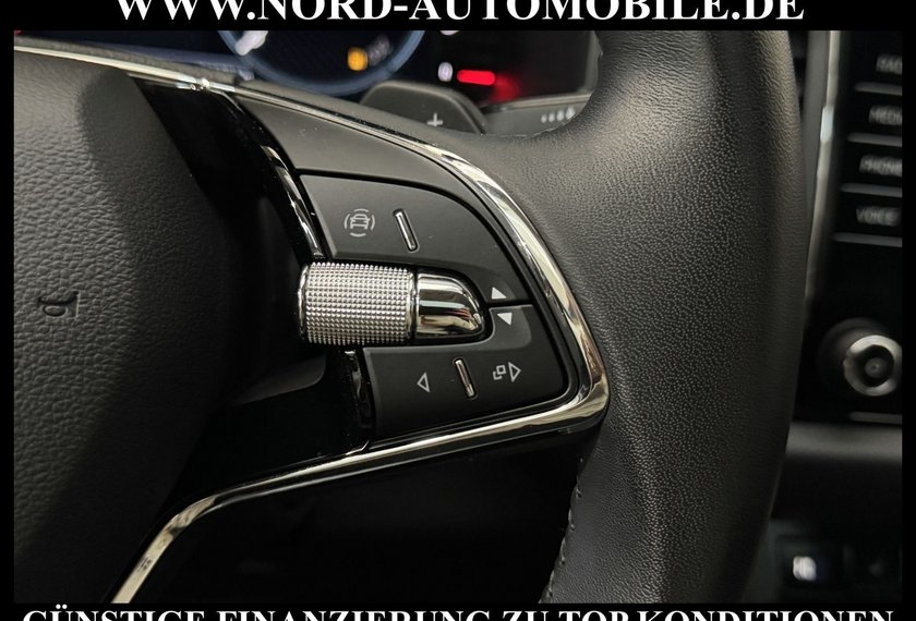 Skoda Kodiaq Kodiaq Ambition 2.0 TDI DSG Leder/AHK/Trittbrett