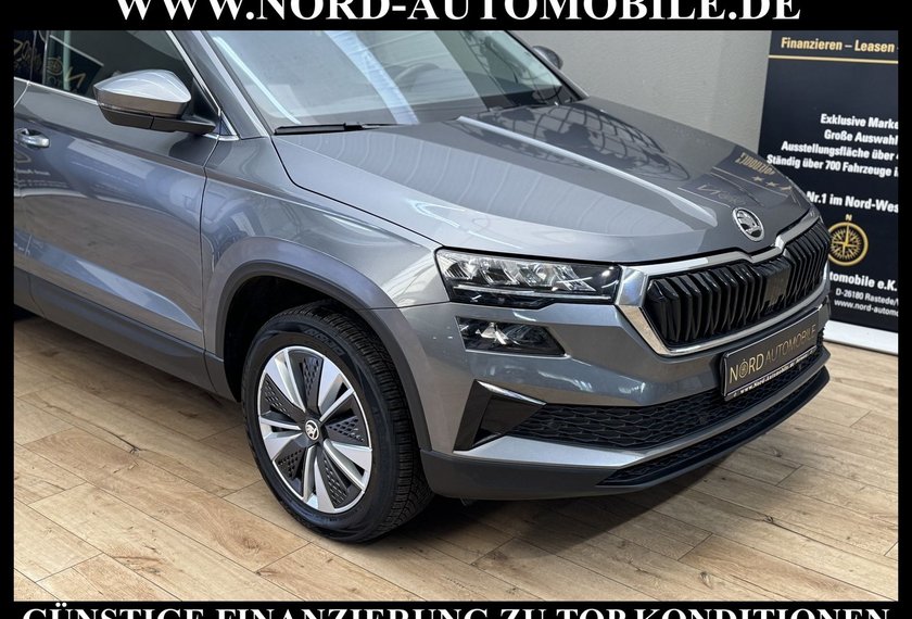 Skoda Karoq Karoq Ambition 2.0 TDI DSG Virt.Cockpit/Kamera/