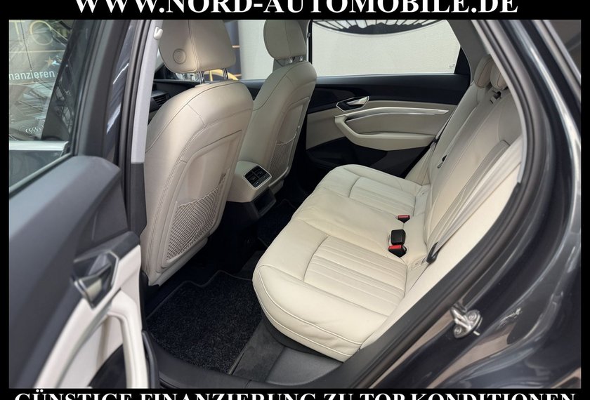 Audi e-tron e-tron 50 QU.Leder/Kamera/AHK/Panorama/21