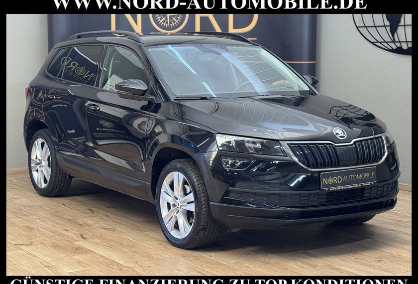Skoda Karoq Karoq Style 2.0 TDI DSG Kamera/Navi/ACC/18