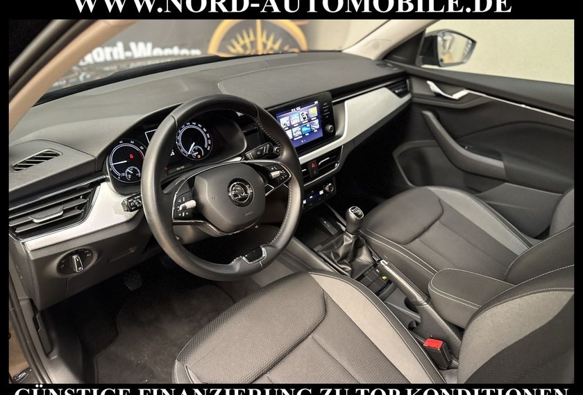 Skoda Kamiq Kamiq Ambition Tour 1.0 TGI G-TEC Kamera/LED/17
