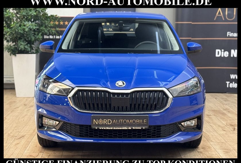 Skoda Fabia Fabia Active 1.0 MPI LED/Klima/PDC/Spurhalte