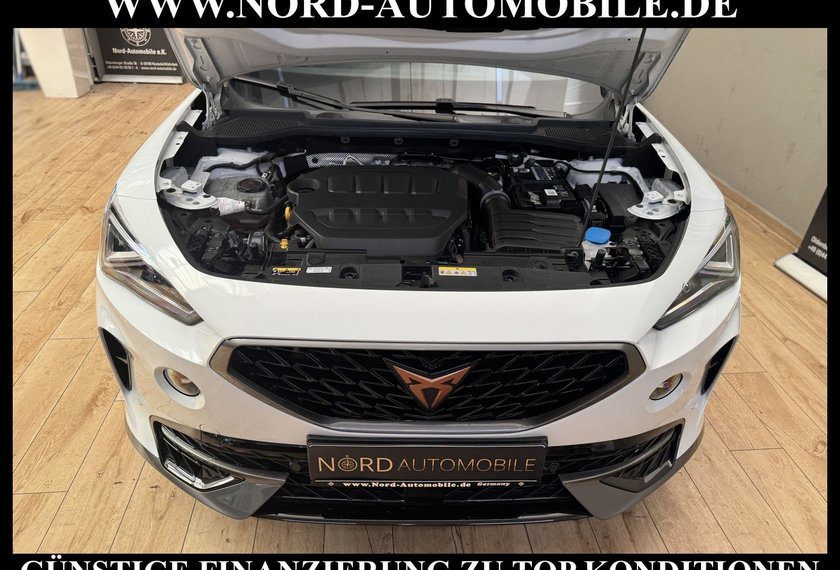 Cupra Formentor Formentor VZ 2.0 TSI DSG Leder/Pano/19/Kamera