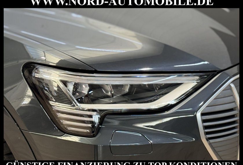 Audi e-tron e-tron 55 Advanced QU.Leder/Kamera/20/Head-Up